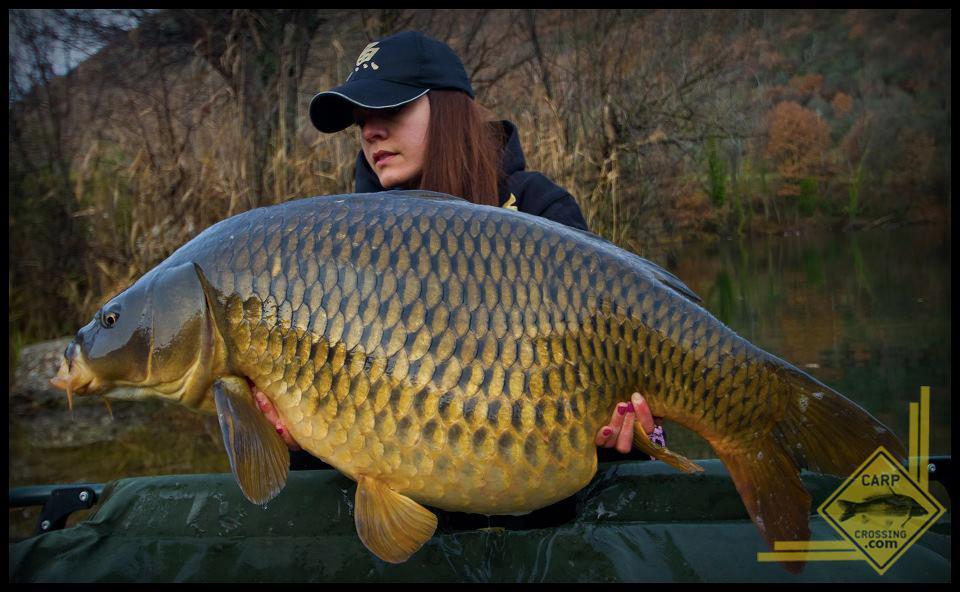 girls fishing - 582475272824609513143721588022n.jpg